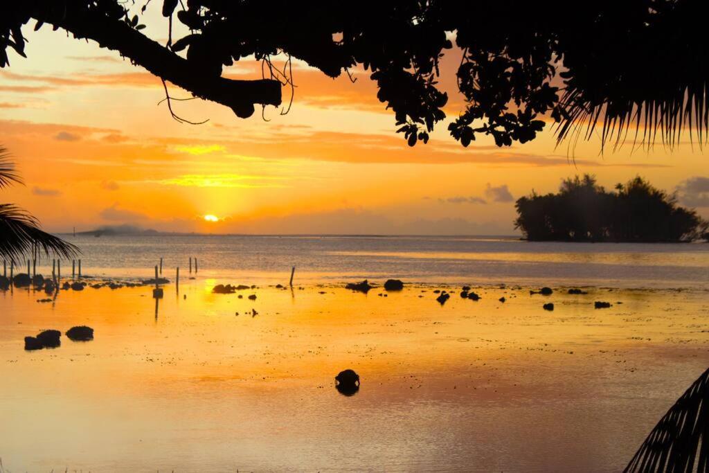 Bungalow Tiarii, Avec Acces Direct A Une Plage Privee Tevaitoa Екстер'єр фото
